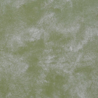 cashmere_20_olive_tree_1463860039