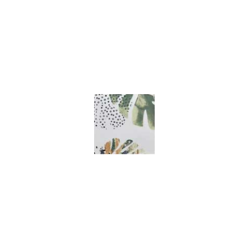 musha_botany-2