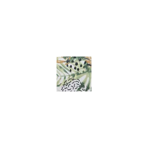 musha_botany-3
