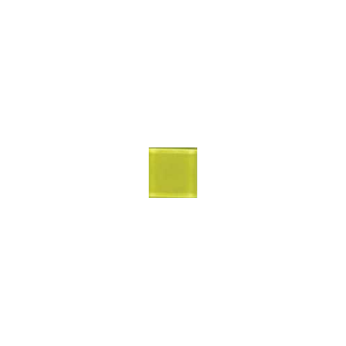 y50_1614411087